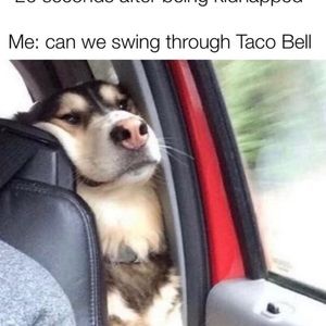 Meet your Posher, Robert